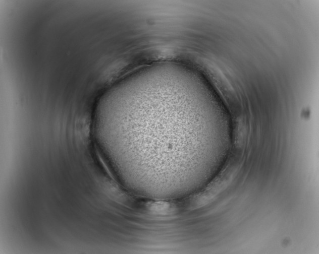 X0000102350230200808151758