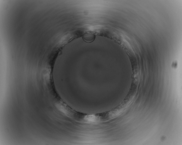 X0000102350231200808151758