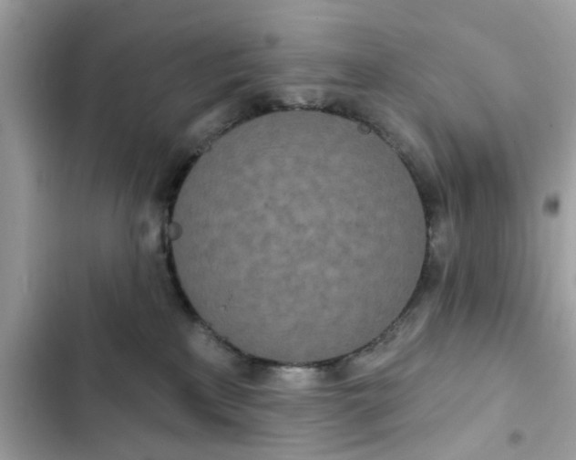 X0000102350233200808151758