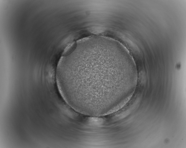 X0000102350234200808151757