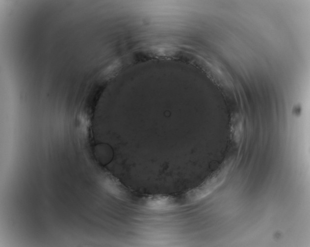 X0000102350235200808151757