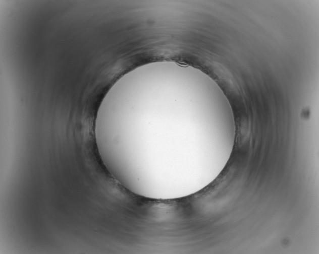 X0000102350236200808151757