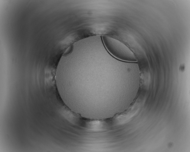 X0000102350237200808151757