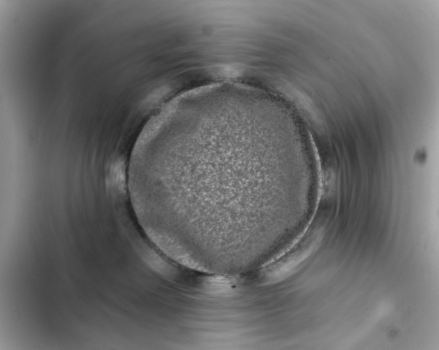 X0000102350238200808151757