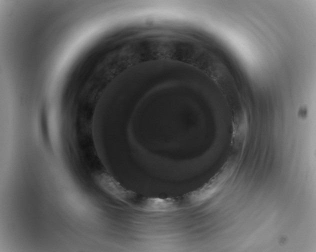 X0000102350239200808151757