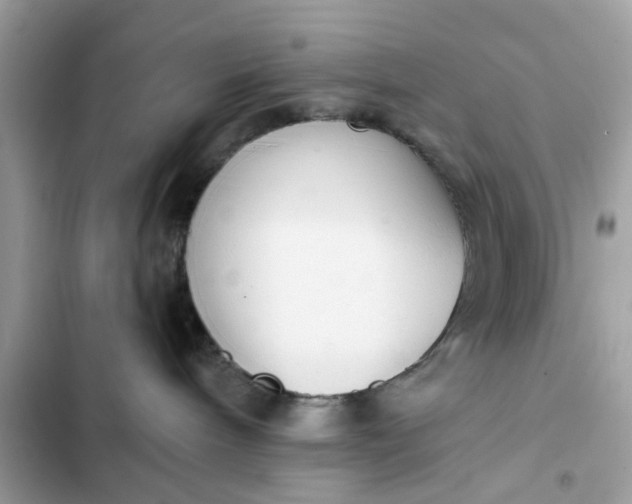 X0000102350240200808151757