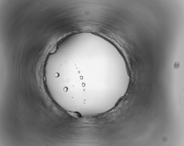 X0000102350241200808151757