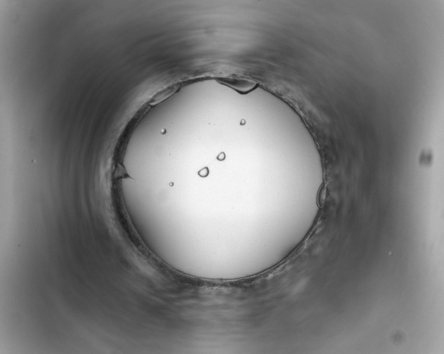 X0000102350242200808151757