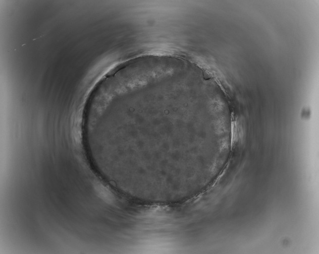 X0000102350243200808151757