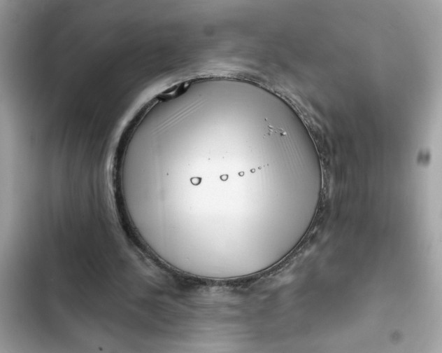 X0000102350244200808151757