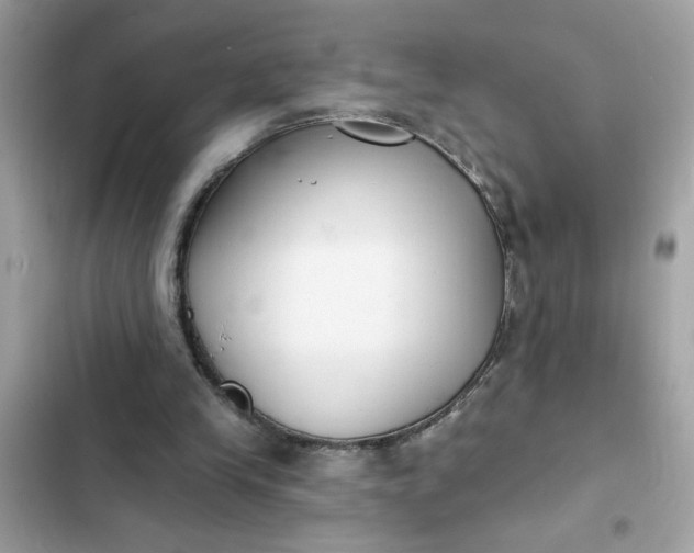 X0000102350245200808151757