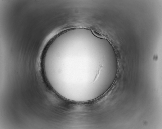 X0000102350246200808151757