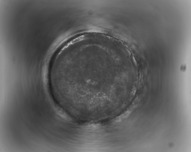 X0000102350247200808151757