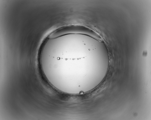 X0000102350248200808151757