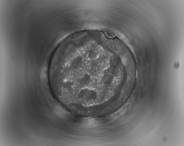 X0000102350249200808151757