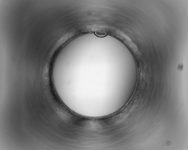 X0000102350250200808151757