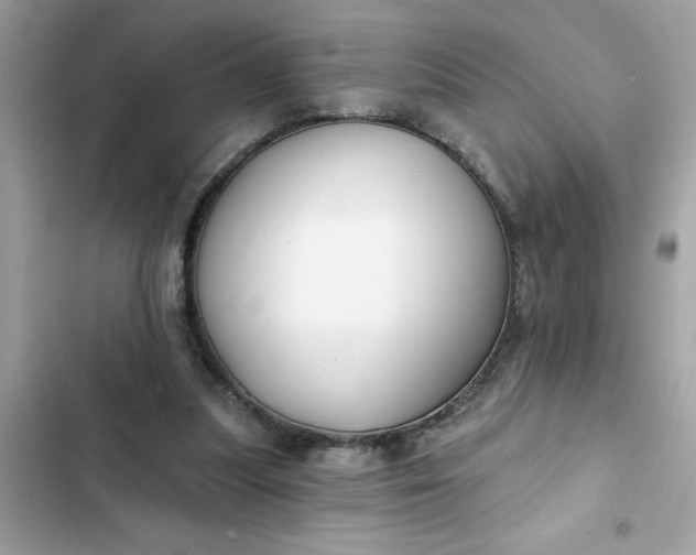 X0000102350251200808151757