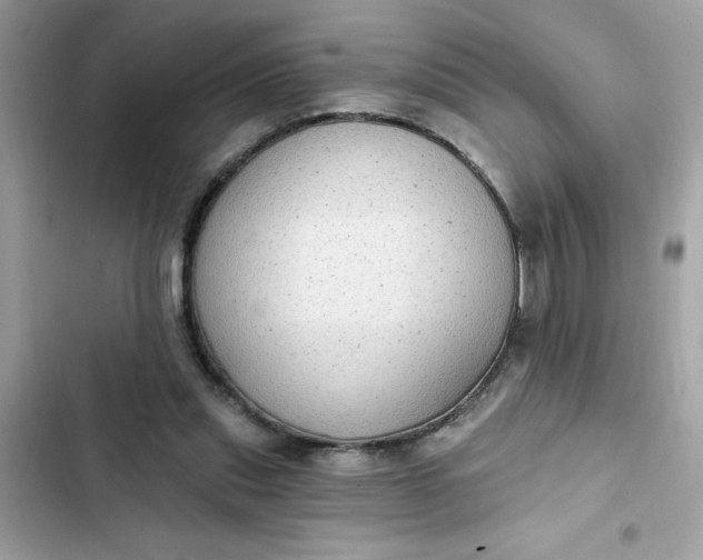 X0000102350253200808151757