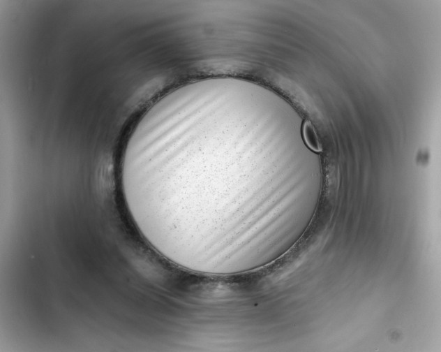 X0000102350254200808151757