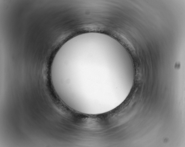 X0000102350255200808151757