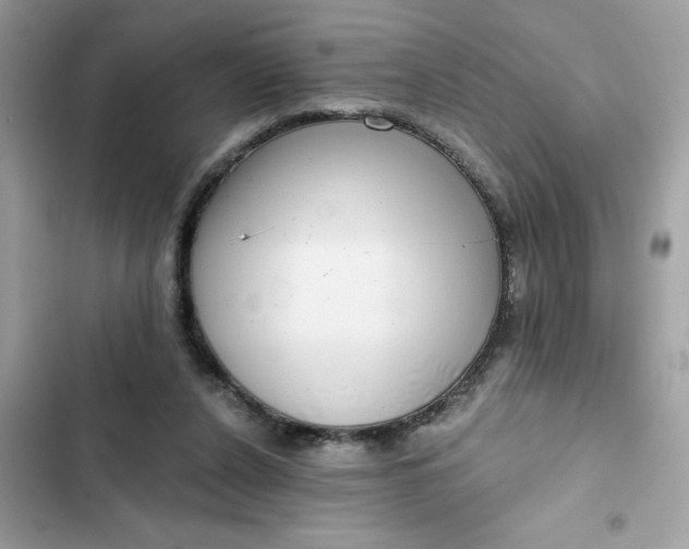 X0000102350256200808151757