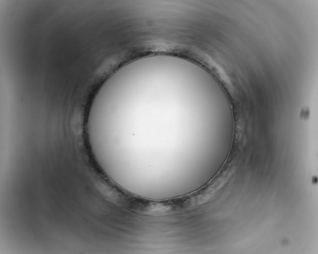 X0000102350257200808151757