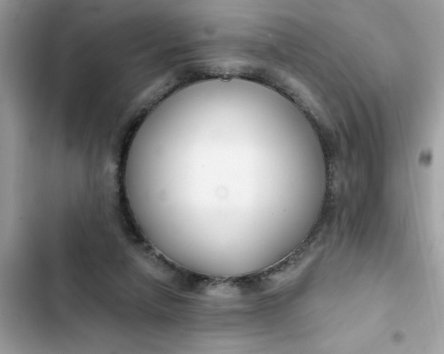 X0000102350258200808151757