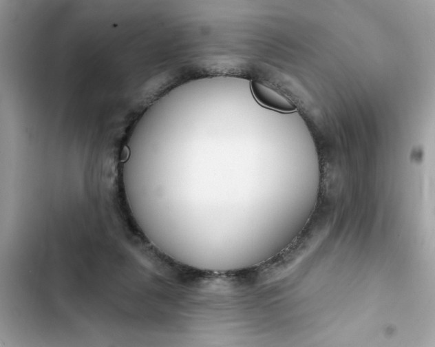 X0000102350259200808151757