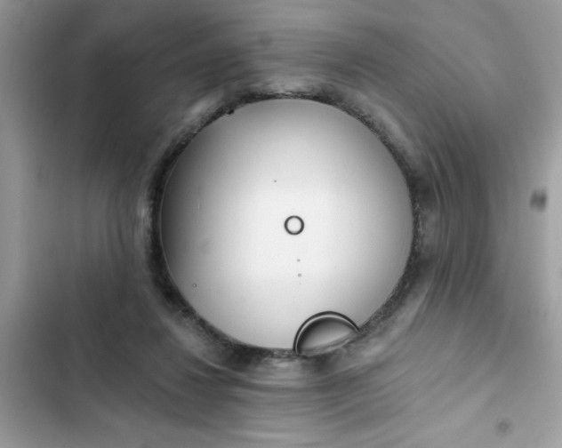 X0000102350260200808151757