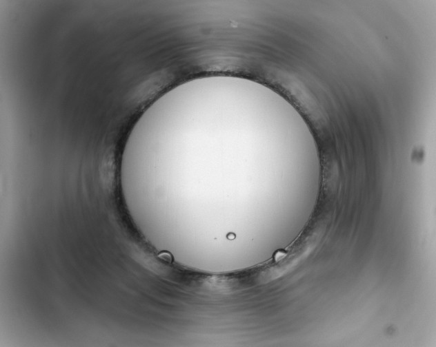 X0000102350261200808151757