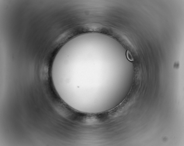 X0000102350262200808151757