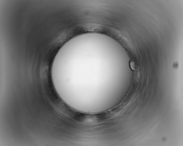 X0000102350263200808151757