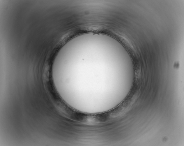 X0000102350264200808151757