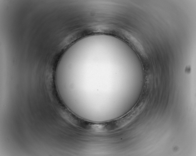 X0000102350265200808151757