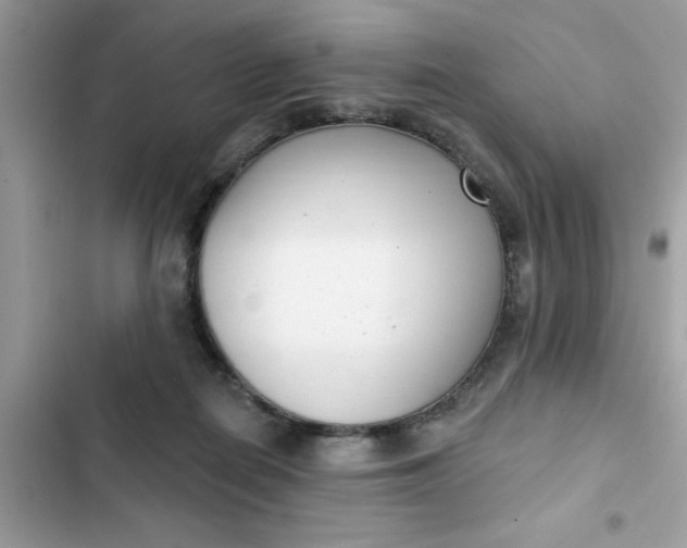 X0000102350266200808151757