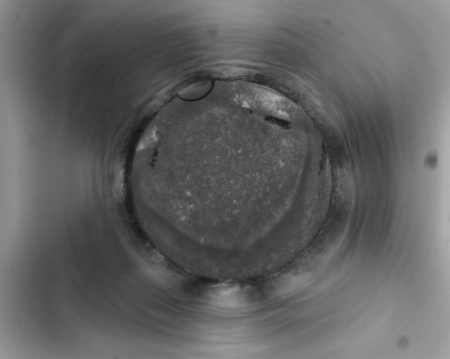 X0000102350267200808151757