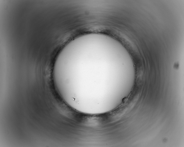 X0000102350268200808151757