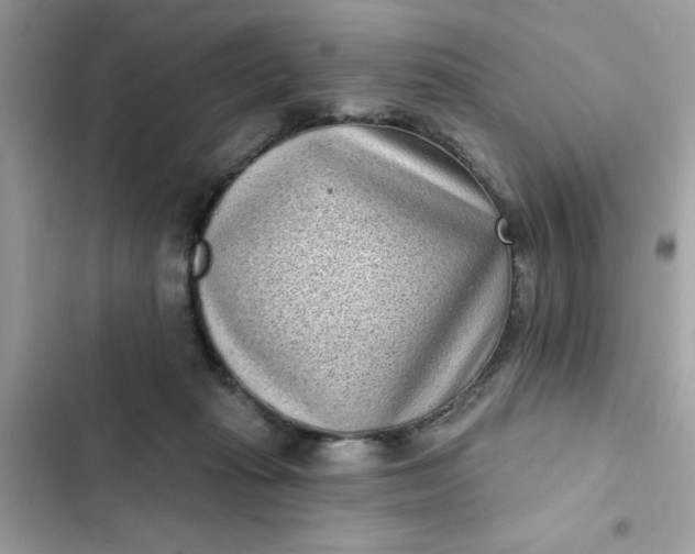 X0000102350269200808151757