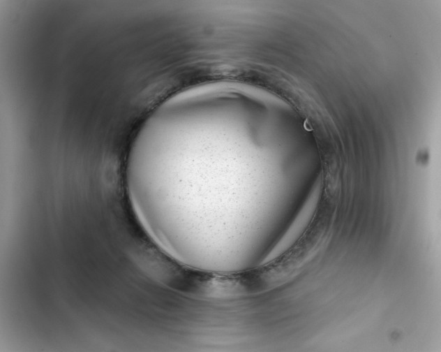 X0000102350270200808151757