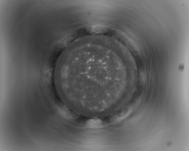 X0000102350271200808151757