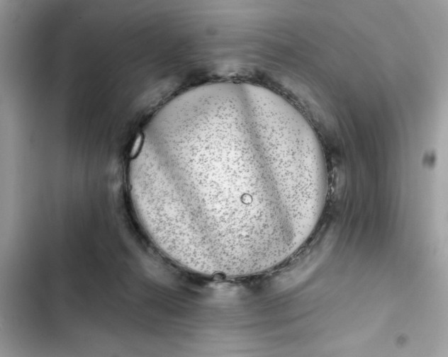 X0000102350272200808151757