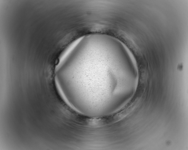 X0000102350273200808151757