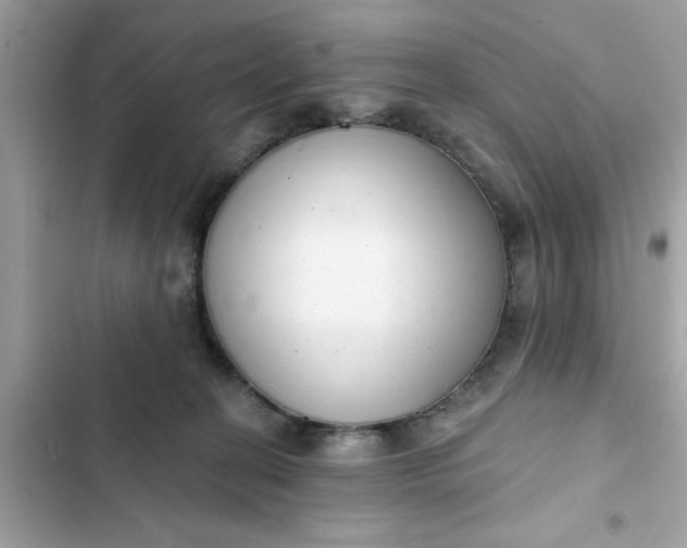 X0000102350274200808151757