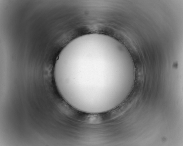 X0000102350275200808151757