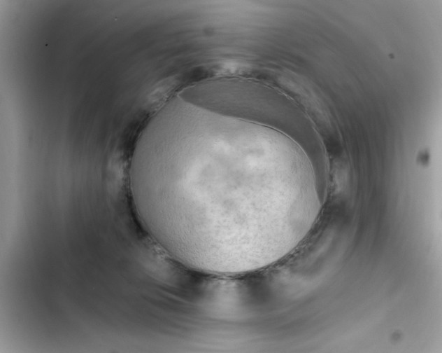 X0000102350276200808151757