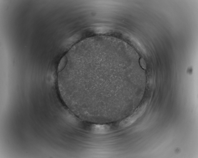 X0000102350277200808151757