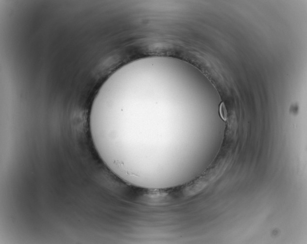 X0000102350278200808151757