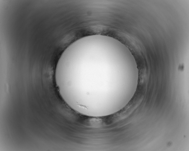 X0000102350279200808151757