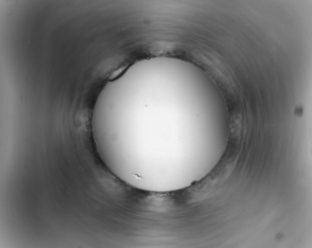 X0000102350280200808151757