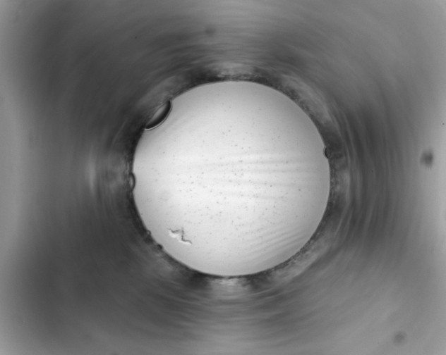 X0000102350281200808151757